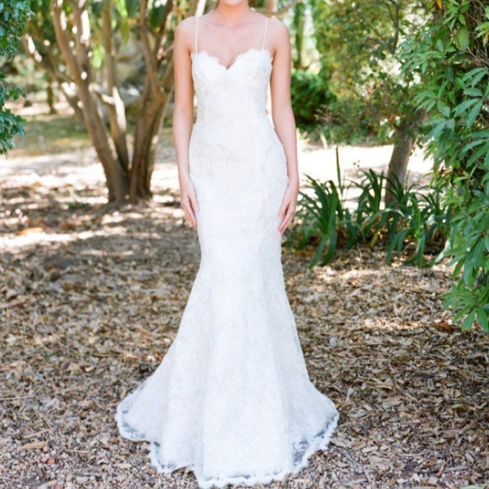 Aria Carole Backless Laced Wedding Dress w/ Veil